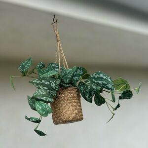 Hearth and Hand Magnolia artificial hanging plant